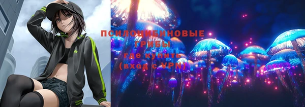 прущий лед Белокуриха