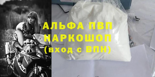 индика Беломорск