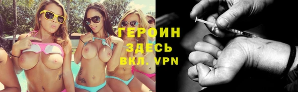 индика Беломорск