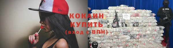 индика Беломорск