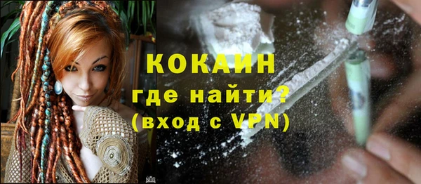 индика Беломорск