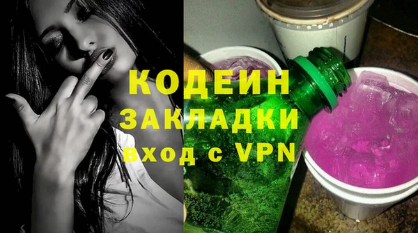 индика Беломорск