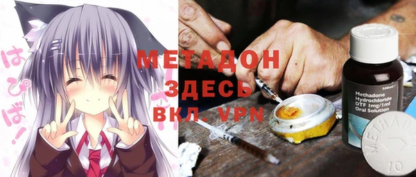 индика Беломорск