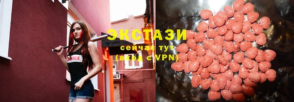 индика Беломорск