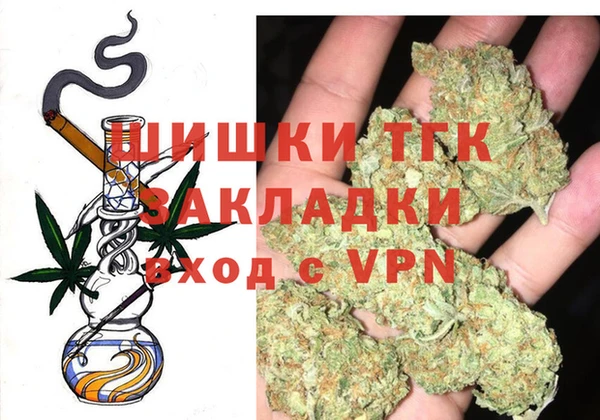 индика Беломорск