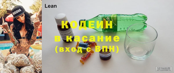 индика Беломорск