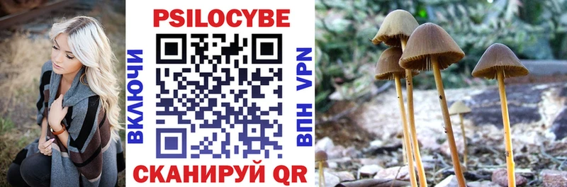 ссылка на мегу вход Светогорск Псилоцибиновые грибы мухоморы наркотики